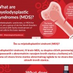 Pročitajte više o članku HULL će i ove godine obilježiti Svjetski dan mijelodisplastičnog sindroma. Donosimo uvodni tekst o ovoj bolesti i stručne podatke
